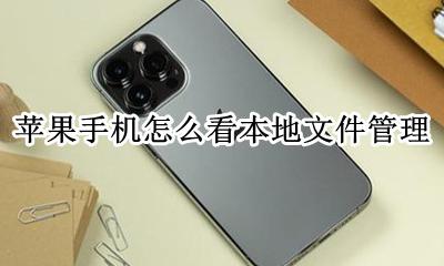 苹果手机怎么看文件夹管理 苹果手机怎么看本地文件管理
