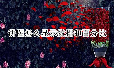 饼图怎么显示数据和百分比 饼状图如何显示数据和百分比