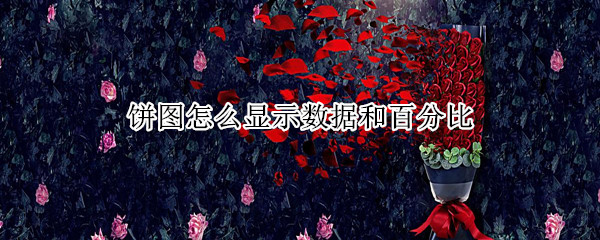 饼图怎么显示数据和百分比
