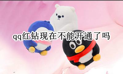 qq红钻怎么没有了 qq红钻现在不能开通了吗
