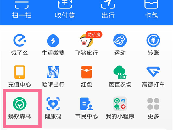 支付宝爱情树需要多少能量