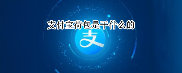 支付宝荷包是干什么的