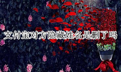 支付宝对方隐藏姓名是删了吗 支付宝别人隐藏了姓名 什么办法能看到