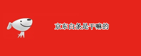 京东白条是干嘛的