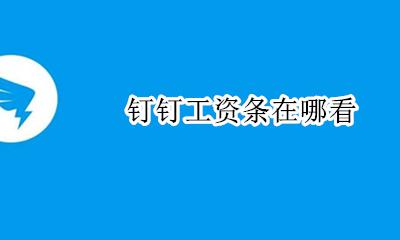 钉钉工资条在哪看 钉钉上面怎么查看工资条
