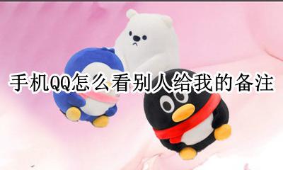 手机QQ怎么看别人给我的备注 手机qq怎么看对方给我的备注