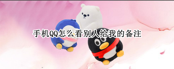 手机QQ怎么看别人给我的备注