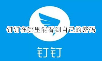 钉钉在哪里能看到自己的密码 如何在钉钉中查看自己的密码