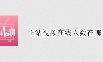 b站视频在线人数在哪看 b站如何看同时在线人数