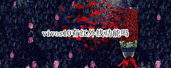vivos10有红外线功能吗