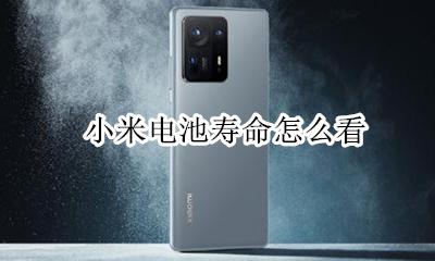 小米电池寿命怎么看 如何看小米手机电池寿命