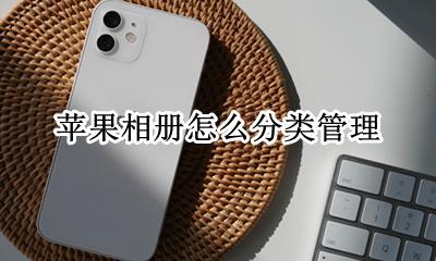 苹果相册怎么分类管理 苹果相册可以分类管理吗