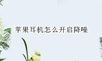 苹果耳机打开降噪 苹果耳机怎么开启降噪