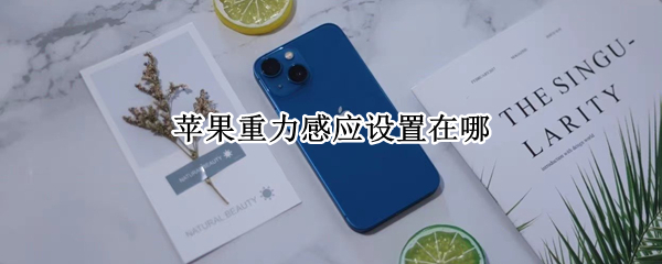 苹果重力感应设置在哪