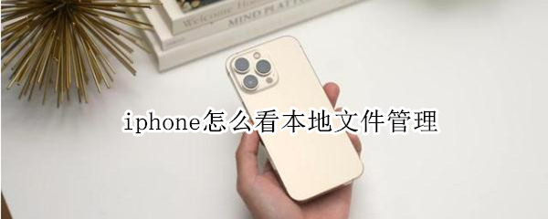 iphone怎么看本地文件管理