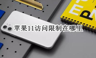 苹果11访问限制在哪里 iphone 11为什么没有访问限制