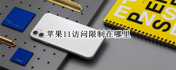 苹果11访问限制在哪里