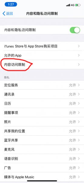 苹果11访问限制在哪里