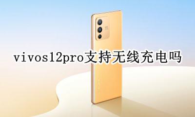 vivos12可以用无线充电器吗 vivos12pro支持无线充电吗