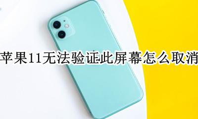 苹果11无法验证此屏幕怎么取消 苹果11显示屏幕无法验证咋回事