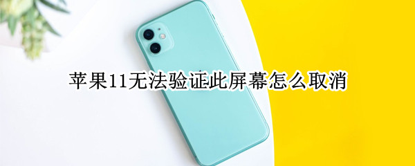 苹果11无法验证此屏幕怎么取消