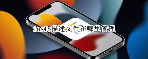 ios15描述文件在哪里管理