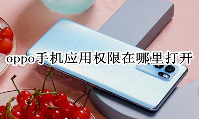 oppo手机应用权限在哪里打开 oppo应用权限在哪里打开的?