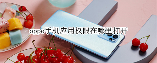 oppo手机应用权限在哪里打开