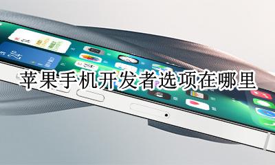 苹果手机开发者选项在哪里 苹果手机的开发者选项在哪