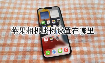 苹果相机比例设置在哪里 苹果手机相机拍照比例怎么设置