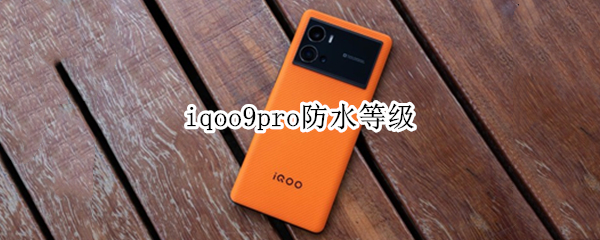 iqoo9pro防水等级
