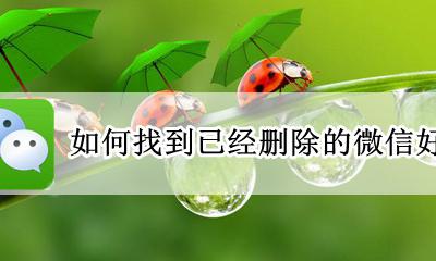 微信删掉的好友怎么找回来 如何找到已经删除的微信好友
