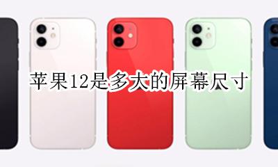 苹果12是多大的屏幕尺寸 苹果12pro多少寸的屏幕尺寸