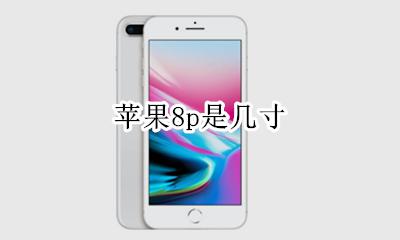 苹果8p是几寸 苹果8p是多少寸