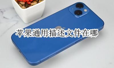 苹果通用描述文件在哪 苹果设置描述文件在哪