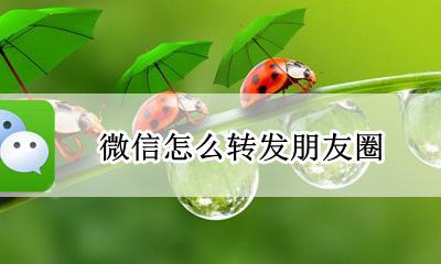 微信怎么转发朋友圈 微信朋友圈转发怎么转