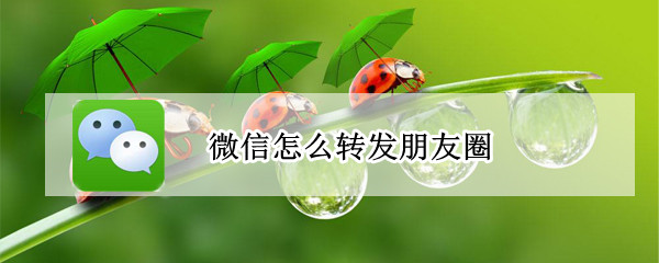 微信怎么转发朋友圈