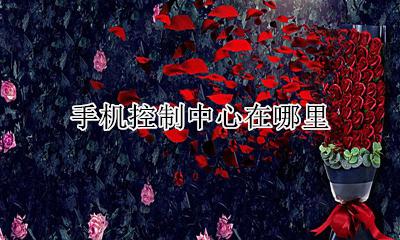 手机控制中心在哪里 手机控制中心怎么调出来