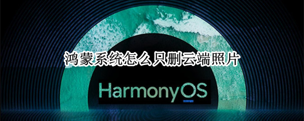 鸿蒙系统怎么只删云端照片
