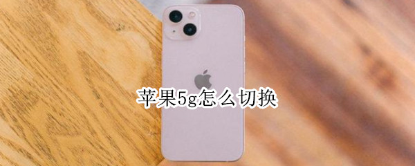 苹果5g怎么切换