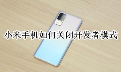 小米怎样关闭开发者模式 小米手机如何关闭开发者模式