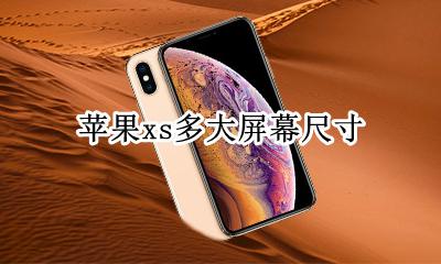 苹果xs多大屏幕尺寸 苹果xsmax多大屏幕尺寸
