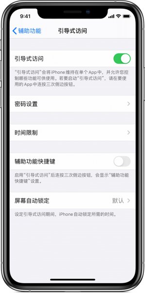 苹果引导式访问是什么意思