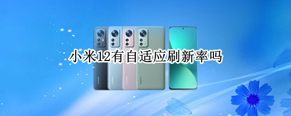 小米12有自适应刷新率吗