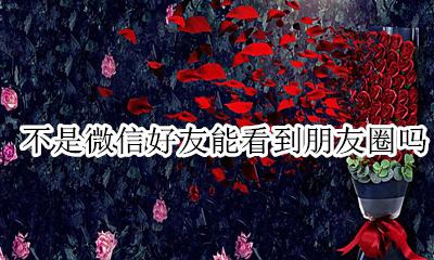 不是微信好友能看到朋友圈吗 微信不是好友怎么还能看到朋友圈