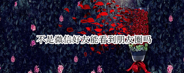 不是微信好友能看到朋友圈吗