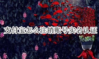 支付宝怎么注销账号实名认证 注销支付宝实名认证在哪里注销呢