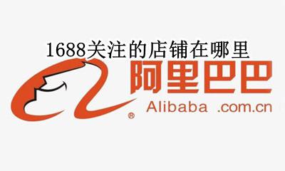 1688关注的店铺在哪里 1688怎么找关注的店铺在哪找