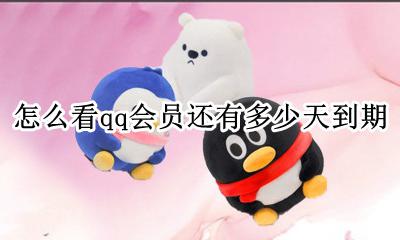 qq怎么看会员到期日期 怎么看qq会员还有多少天到期