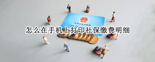 怎么在手机上打印社保缴费明细